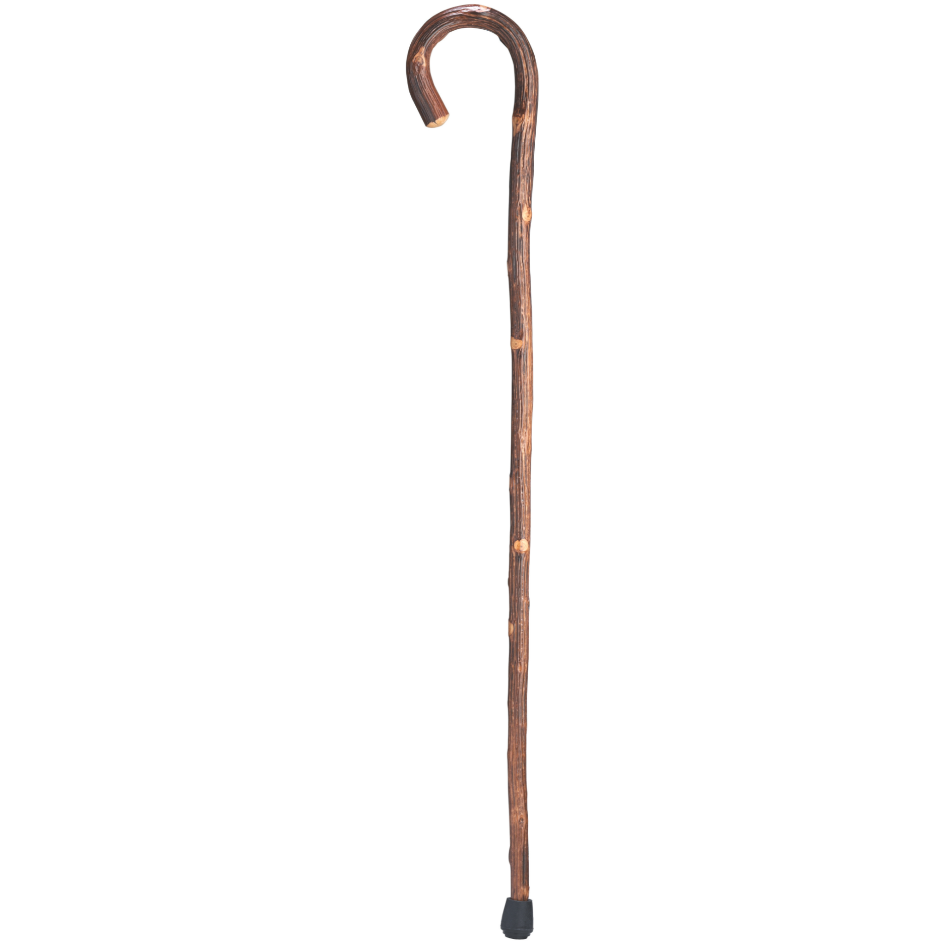 Oak Tourist Walking Cane