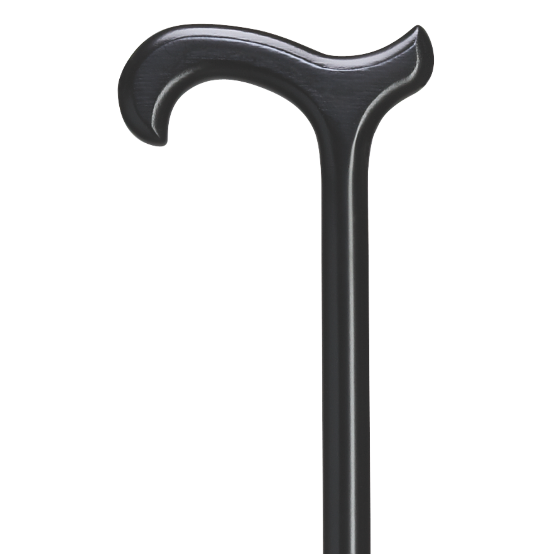 Harvy Everyday Cane