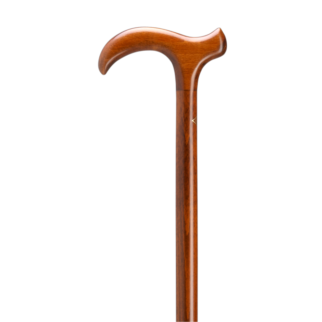 Smart Walking Cane