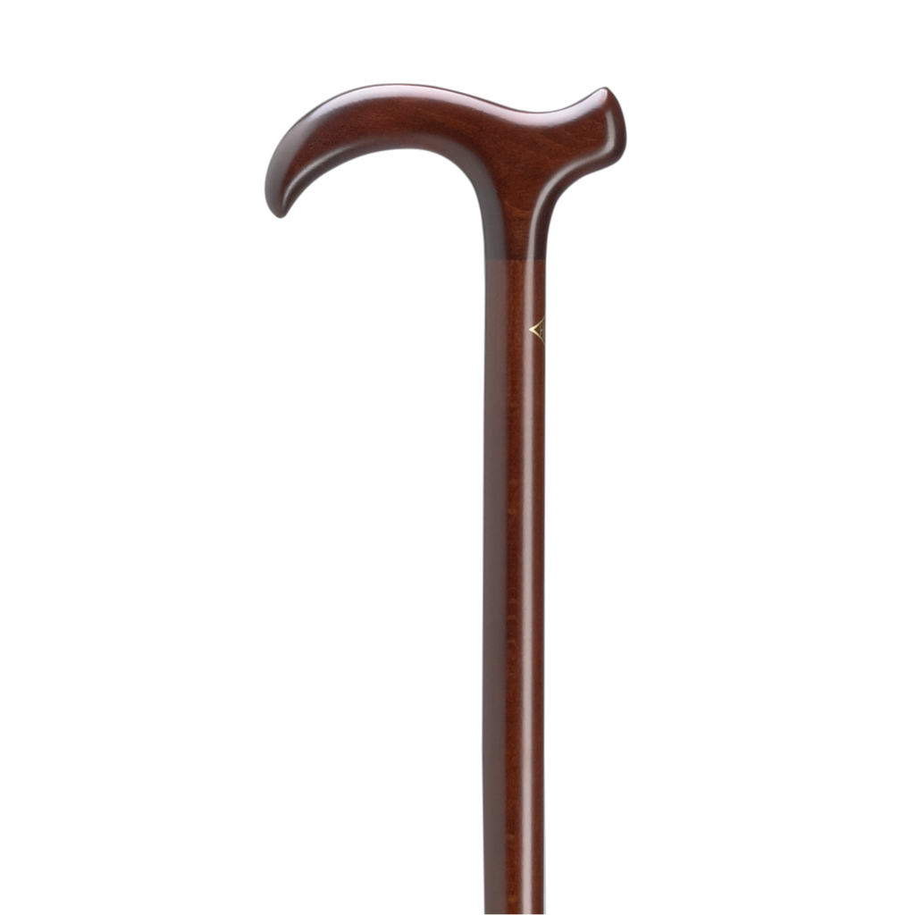 Smart Walking Cane