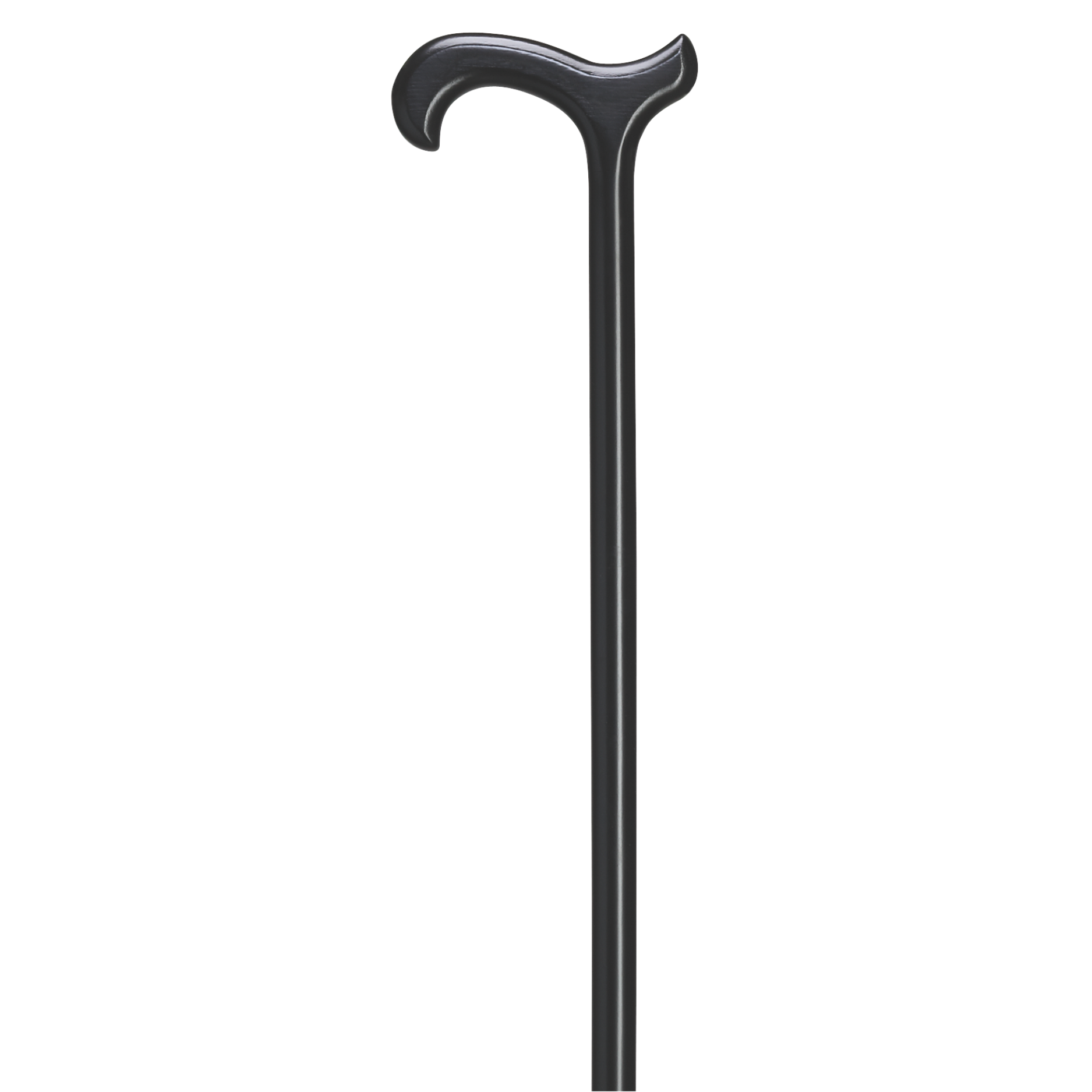 Harvy Everyday Cane