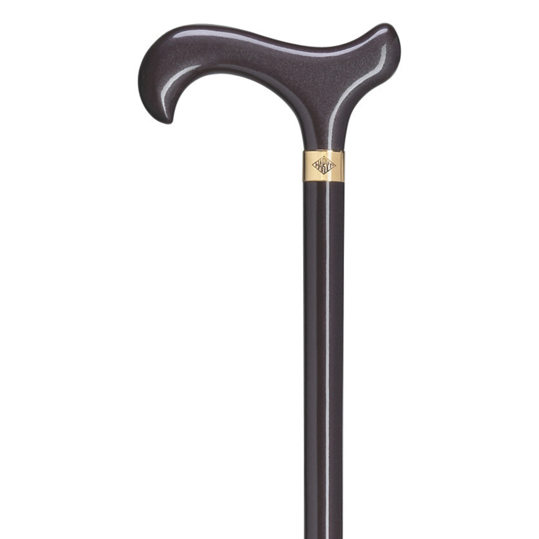 Aubergine Walking Cane