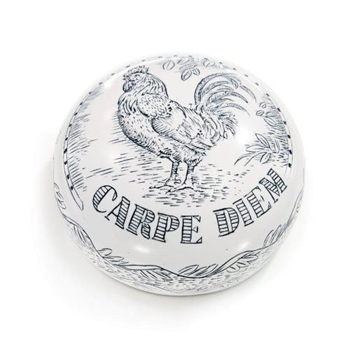 Word of the Wise-Paperweights